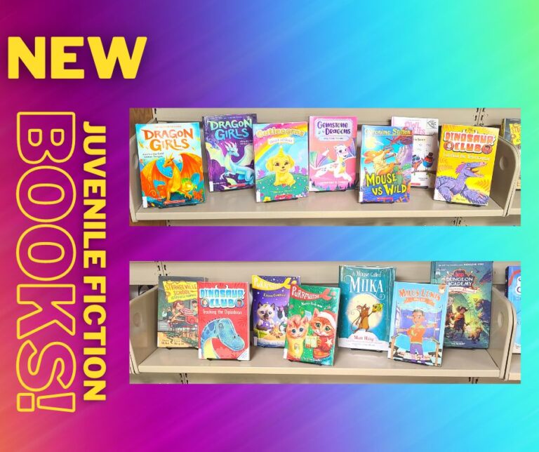 Earlville Public Library