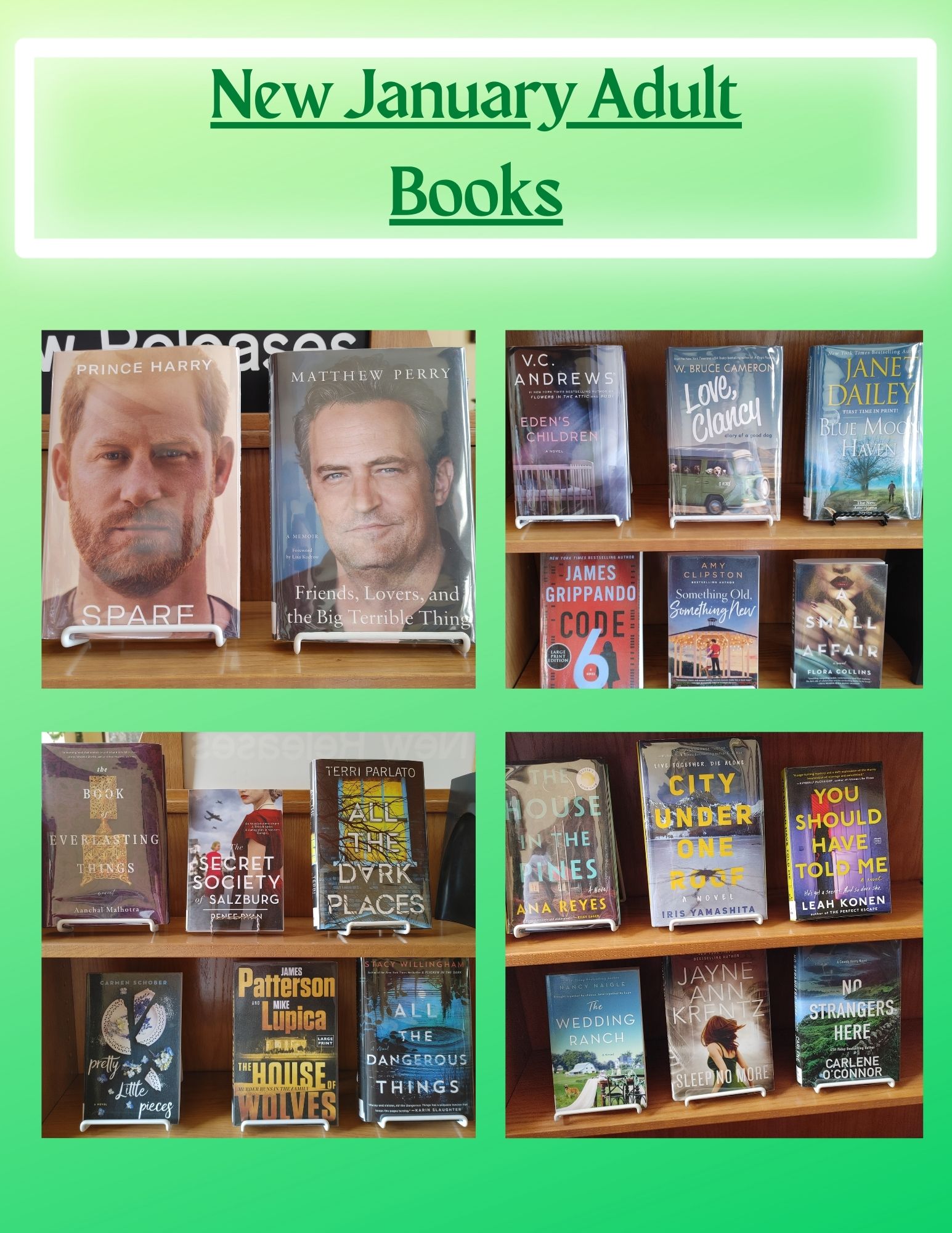 Earlville Public Library